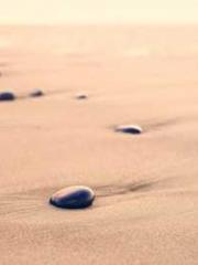 The Realm of the Dao