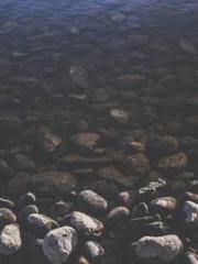 Do not deprive me of