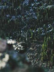 One Night of Indulge