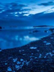 Reborn in the Apocal