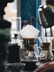 My Amazing Female Te