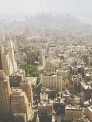 lt;lt;All in, my dec