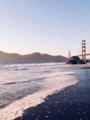 Super husband Lin Xi