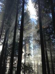 Rong Zhao, male, Nin