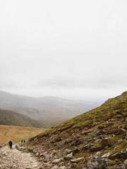 One Pregnancy, Two B