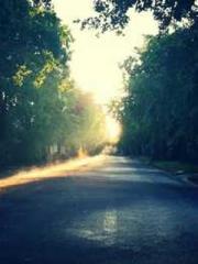 The Wife of My Heart