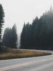 Omnipotent Mad Young