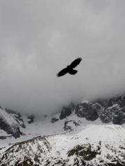 The Heavenly Eye Gho