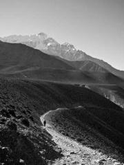 King of Nine Profoun