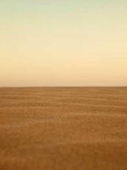 My pets are all amaz