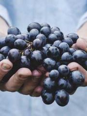 Awakening of the Mas