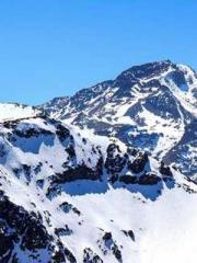 Jiang Mingzhu Zhou L