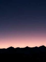 Double Blessing: CEO