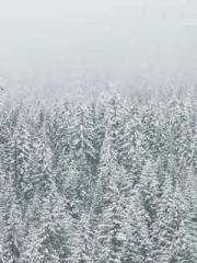 One Night of Indulge