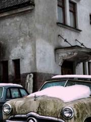 Retired War God Yang