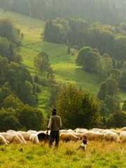 Becoming a Farm Girl