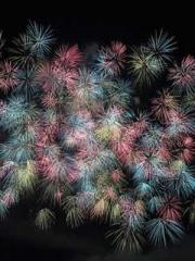 lt;Nineth Uncle, you