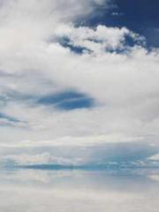 Two Treasures Arrive