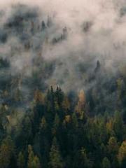 Fāng Chénlín Xuěyán