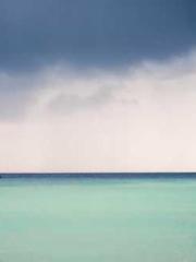 Shocking! This prota