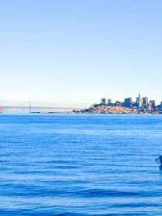 The Wife of My Heart