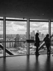 Peninsula Asteroid l