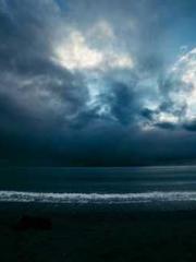 Transmigration: Feel