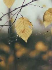 lt;lt;Waste Material