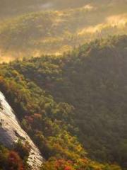 Fu Zi Mo Qin Luo Yan