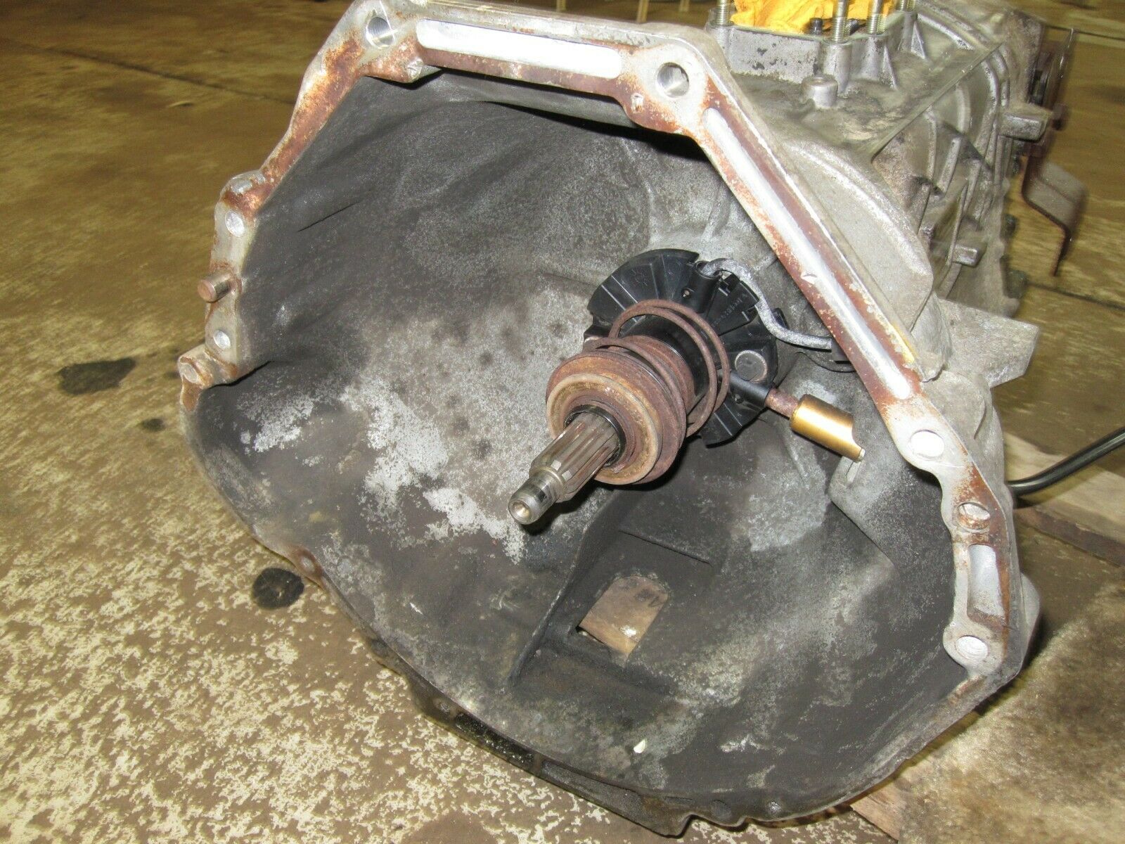 5.8 5.0 4.9  gas 87-97 Ford F250 F350 ZF5 Manual Transmission 5 speed 4x4 s5-42 - Fresh Stock Dated October 2025