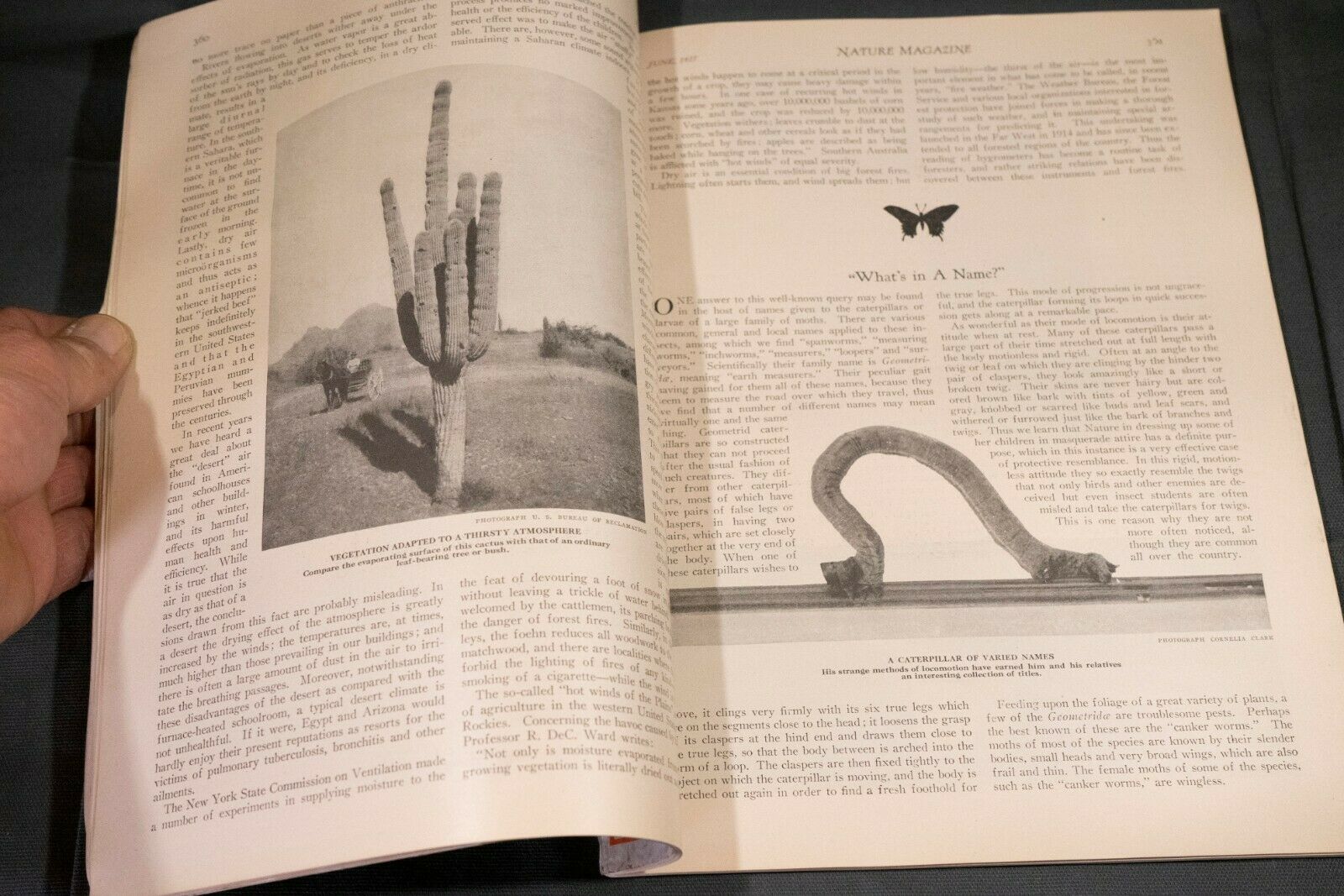 Nature Magazine June 1927 No.6 Nice Phillip Hexom Duotone Lithographic Cover - Fresh Stock Dated October 2025