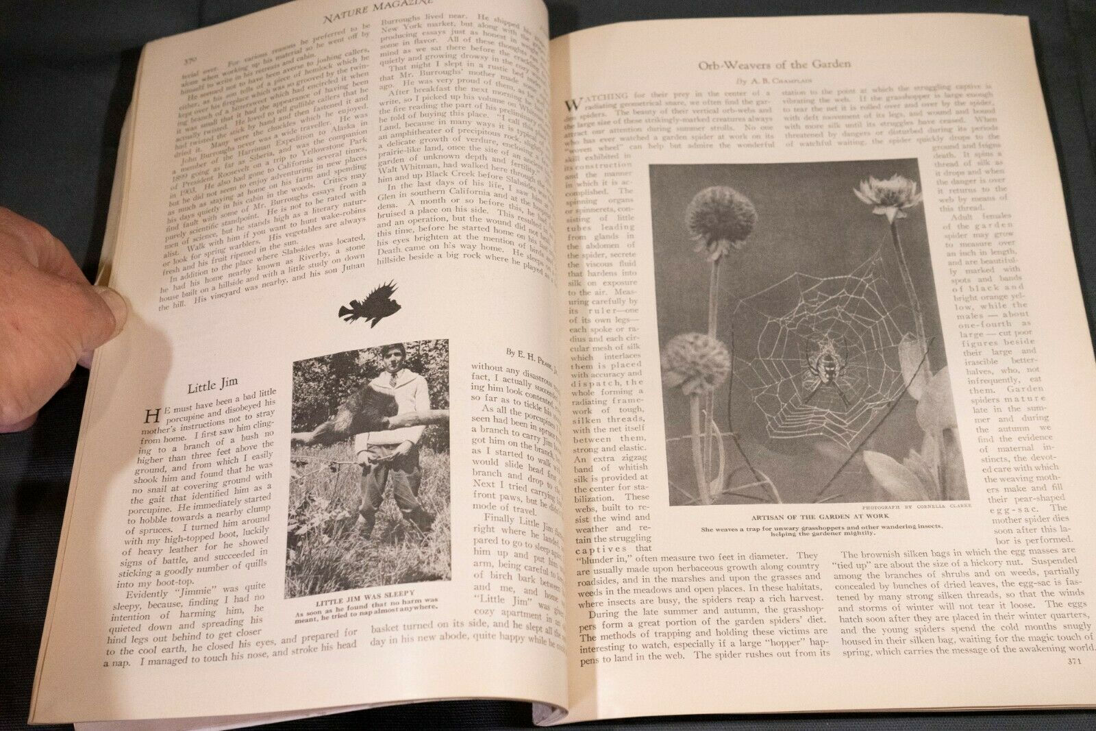 Nature Magazine June 1927 No.6 Nice Phillip Hexom Duotone Lithographic Cover - Fresh Stock Dated October 2025