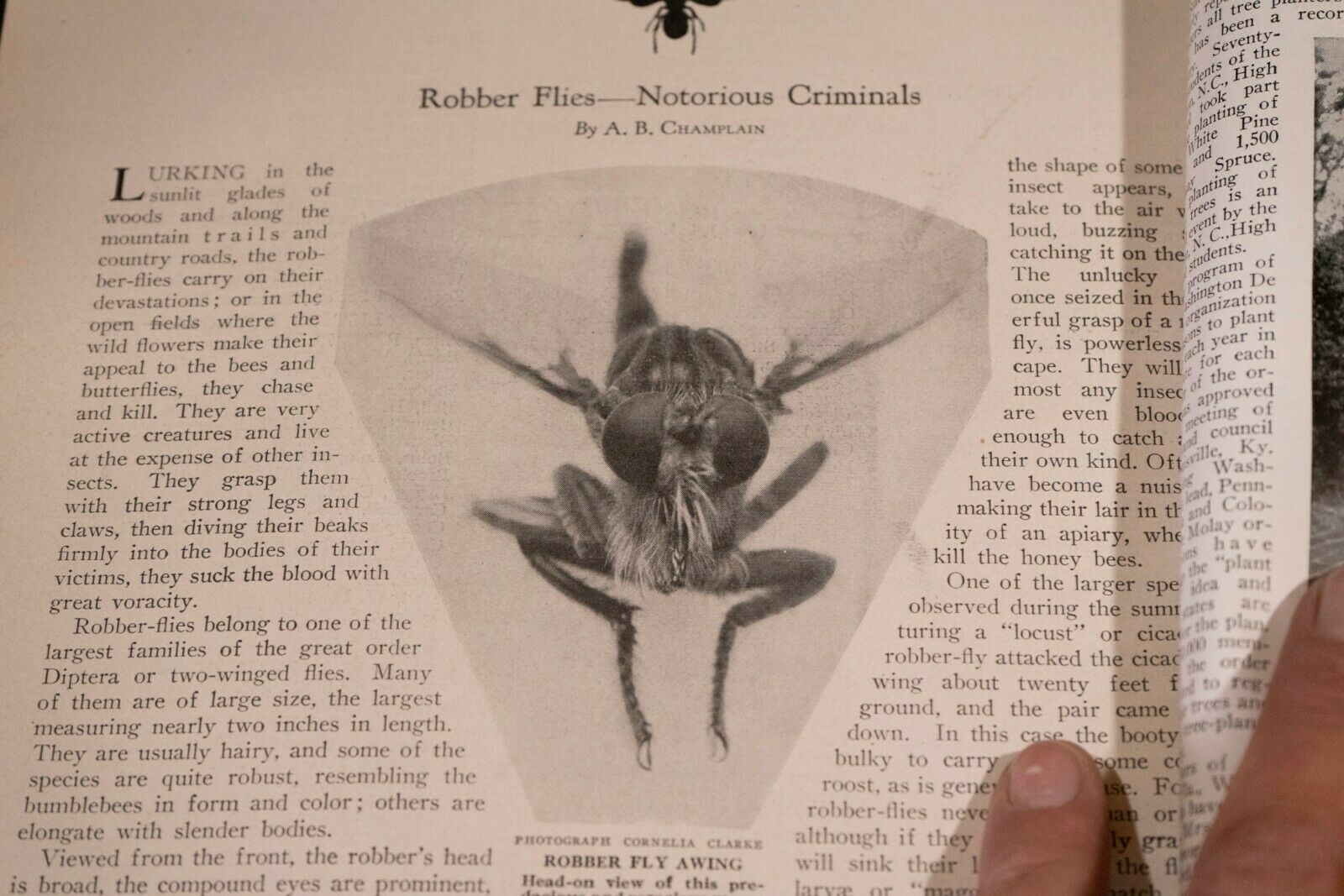 Nature Magazine June 1927 No.6 Nice Phillip Hexom Duotone Lithographic Cover - Fresh Stock Dated October 2025