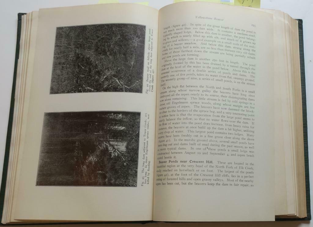 Roosevelt Wild Life Bulletin,Vol. 1:4 issues,Library Hardcover,Park Maps,Photos - Fresh Stock Dated October 2025