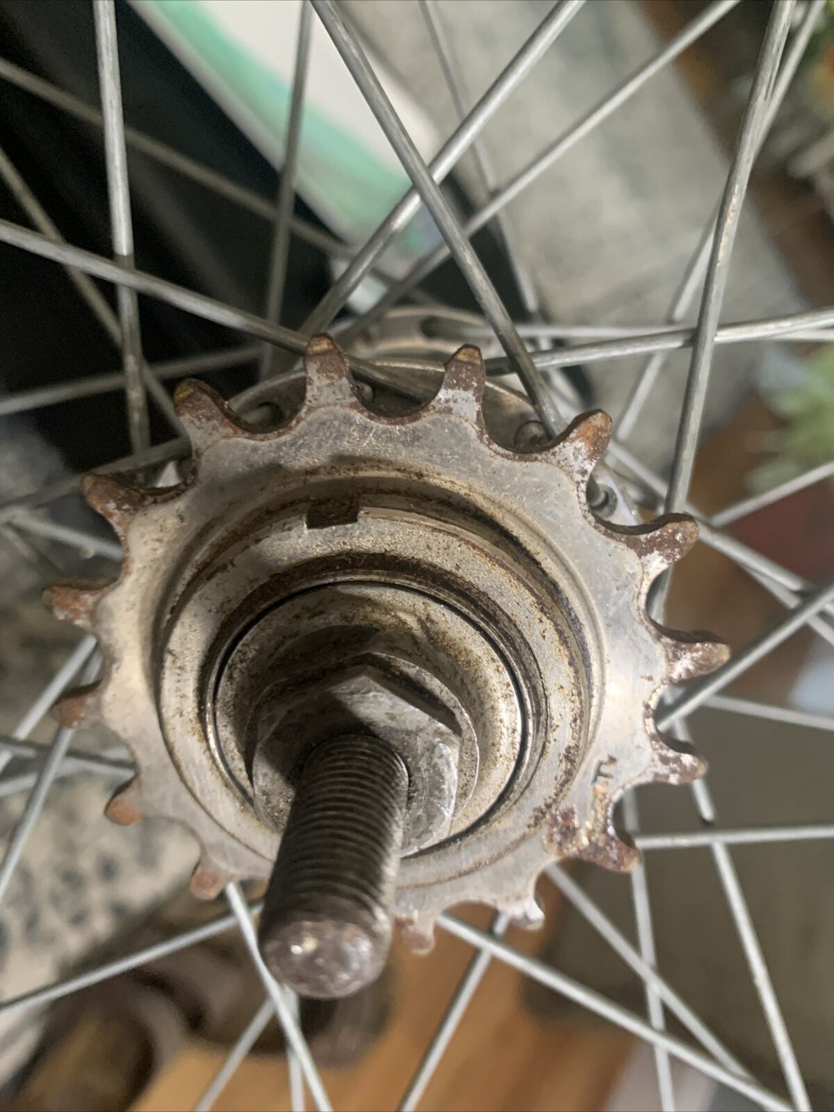 antique wood bicycle wheelset. morrow hub harper rubber co tires 28” - Fresh Stock Dated October 2025