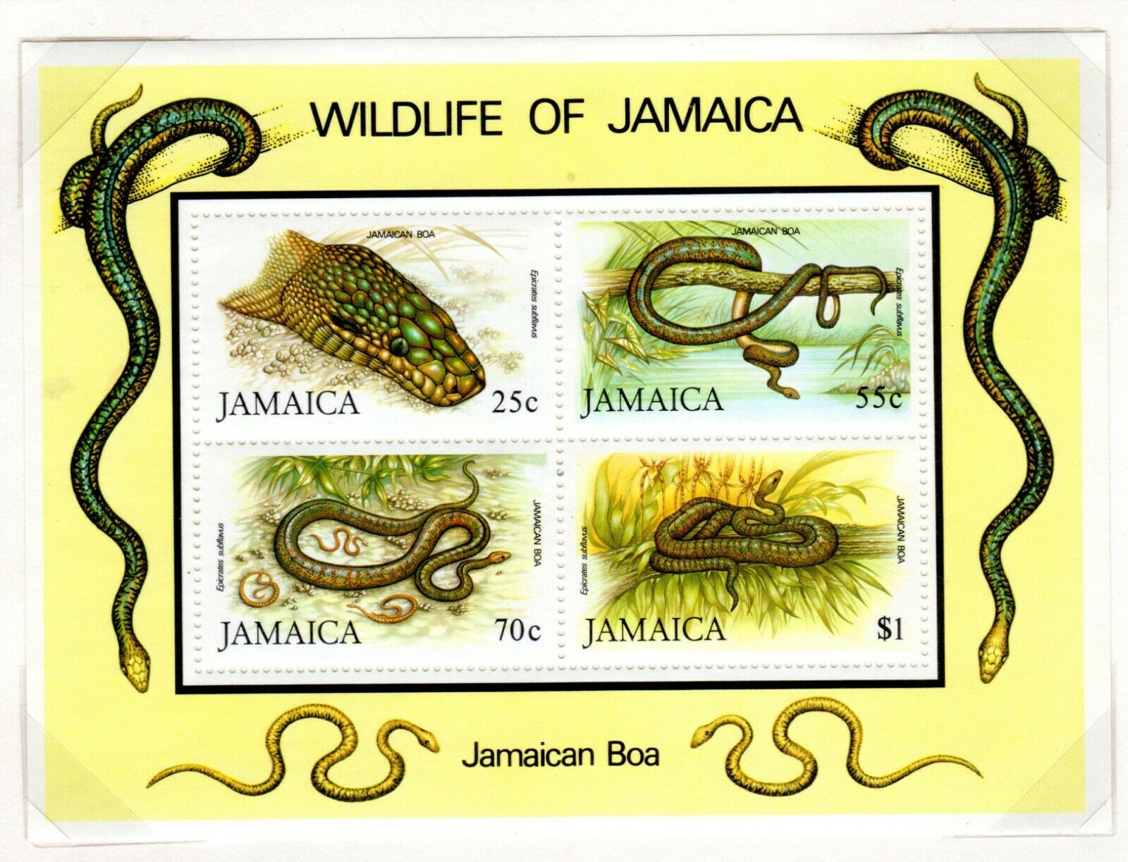 Jamaica Scott 573//617 Mostly Used on 3 Album Pages Issued 1984-1986 - Fresh Stock Dated October 2025