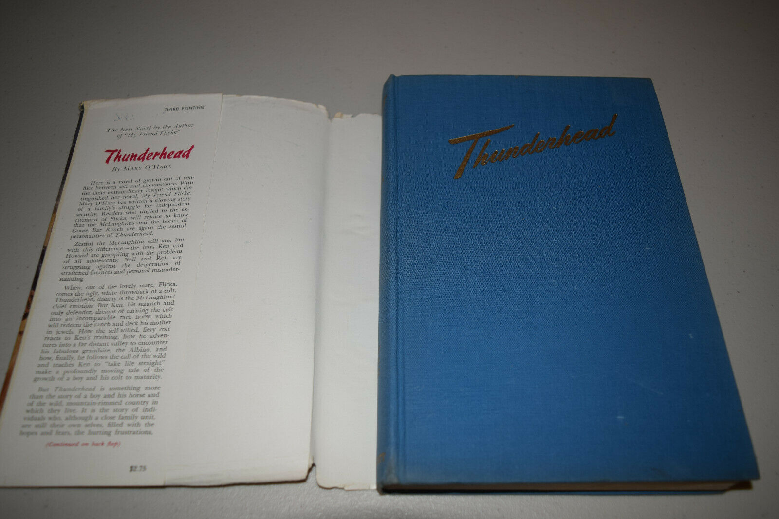 Thunderhead by Mary O'Hara Author of My Friend Flicka 1943 HBDJ 3rd Impression - Fresh Stock Dated October 2025