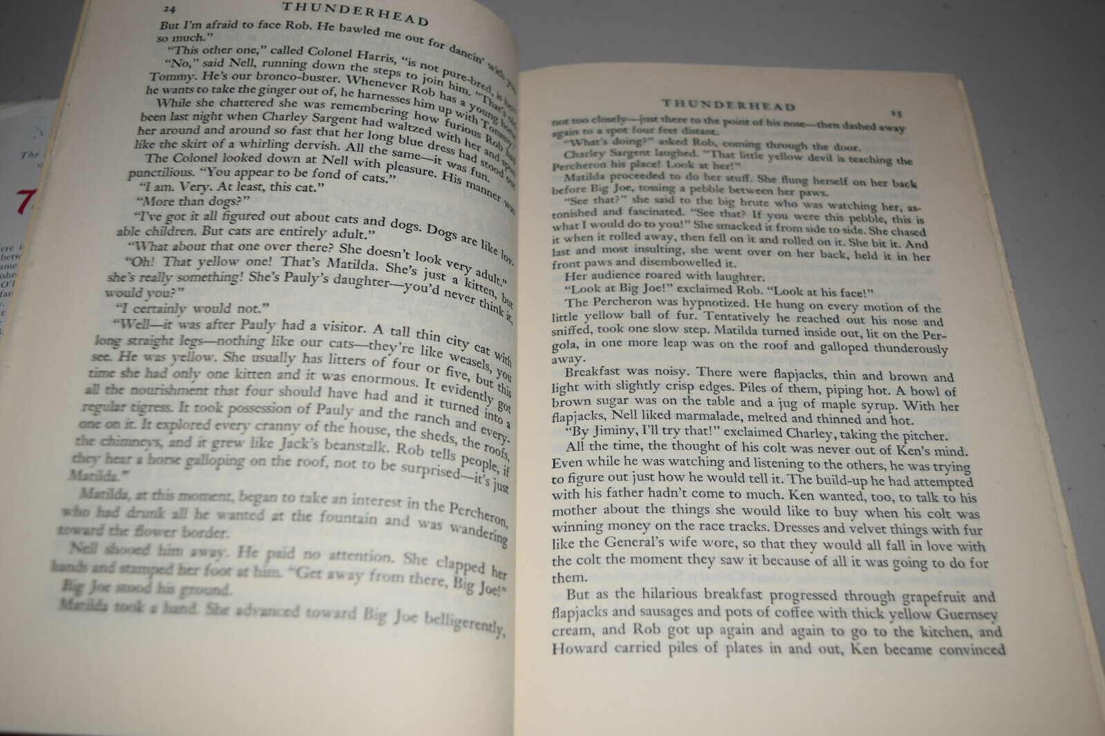 Thunderhead by Mary O'Hara Author of My Friend Flicka 1943 HBDJ 3rd Impression - Fresh Stock Dated October 2025