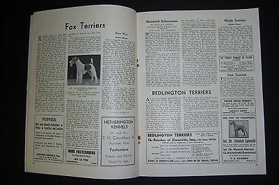 Vintage THE DOGS NEWS magazine. January 1940. The Beagle cover - Fresh Stock Dated October 2025