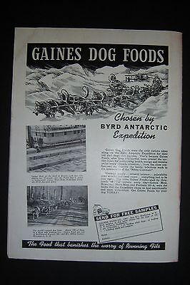 Vintage THE DOGS NEWS magazine. January 1940. The Beagle cover - Fresh Stock Dated October 2025