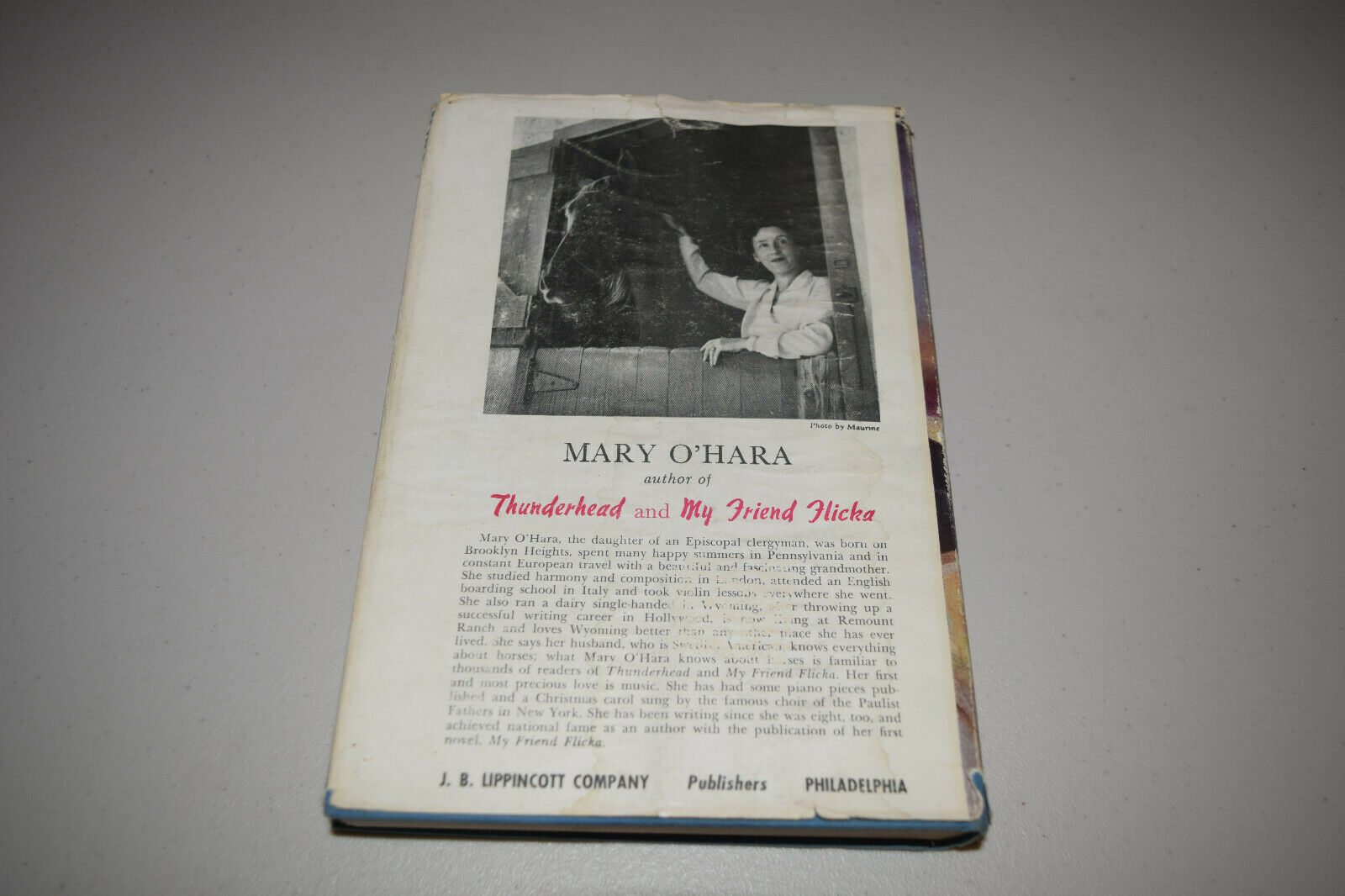 Thunderhead by Mary O'Hara Author of My Friend Flicka 1943 HBDJ 3rd Impression - Fresh Stock Dated October 2025