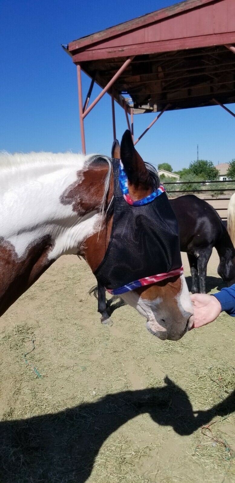 ADJUSTABLE HORSE FLY MASK  75% UV BLOCKING - Fresh Stock Dated October 2025