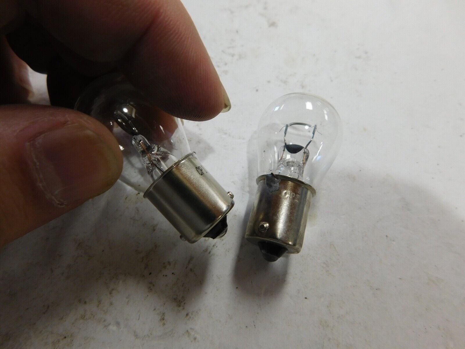 PAIR 1156 SINGLE FILAMENT BULB TURN SIGNAL HARLEY DAVIDSON CUSTOM CHOPPER 12V - Fresh Stock Dated October 2025