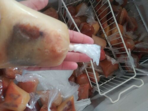 bolsitas para bolis plastic bags ice pops hielitos 1400 BOLSAS 8×26 Saborine - Fresh Stock Dated October 2025