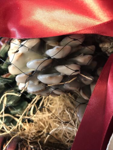 Lightsone Fire-starter Aerobatic Pine Cones - Fresh Stock Dated October 2025