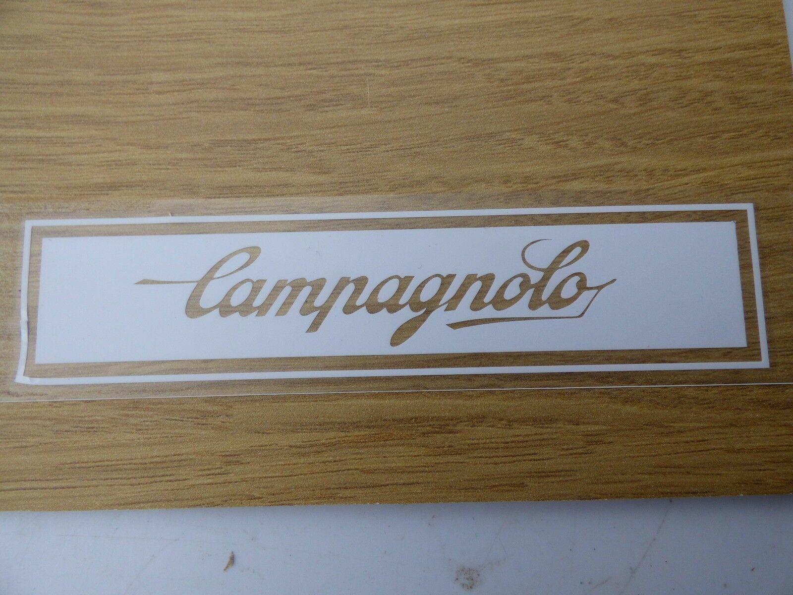 CAMPAGNOLO DECAL / STICKER - TRANSLUCENT - Fresh Stock Dated October 2025