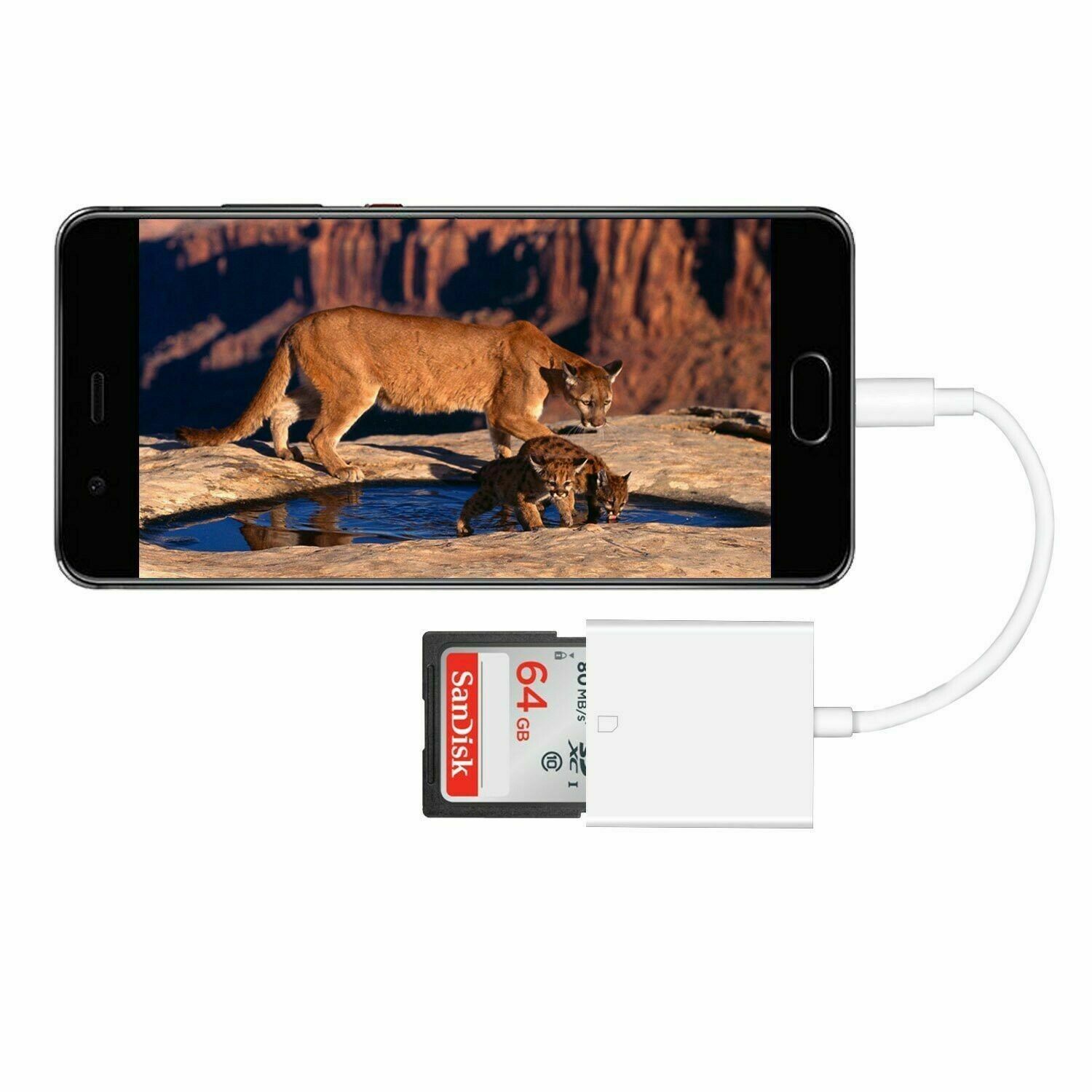 Type C to SD Card Trail Game Camera Image/Video Viewer Reader cable for iPad Pro - Fresh Stock Dated October 2025