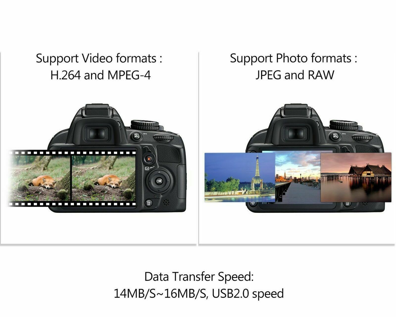 Type C to SD Card Trail Game Camera Image/Video Viewer Reader cable for iPad Pro - Fresh Stock Dated October 2025