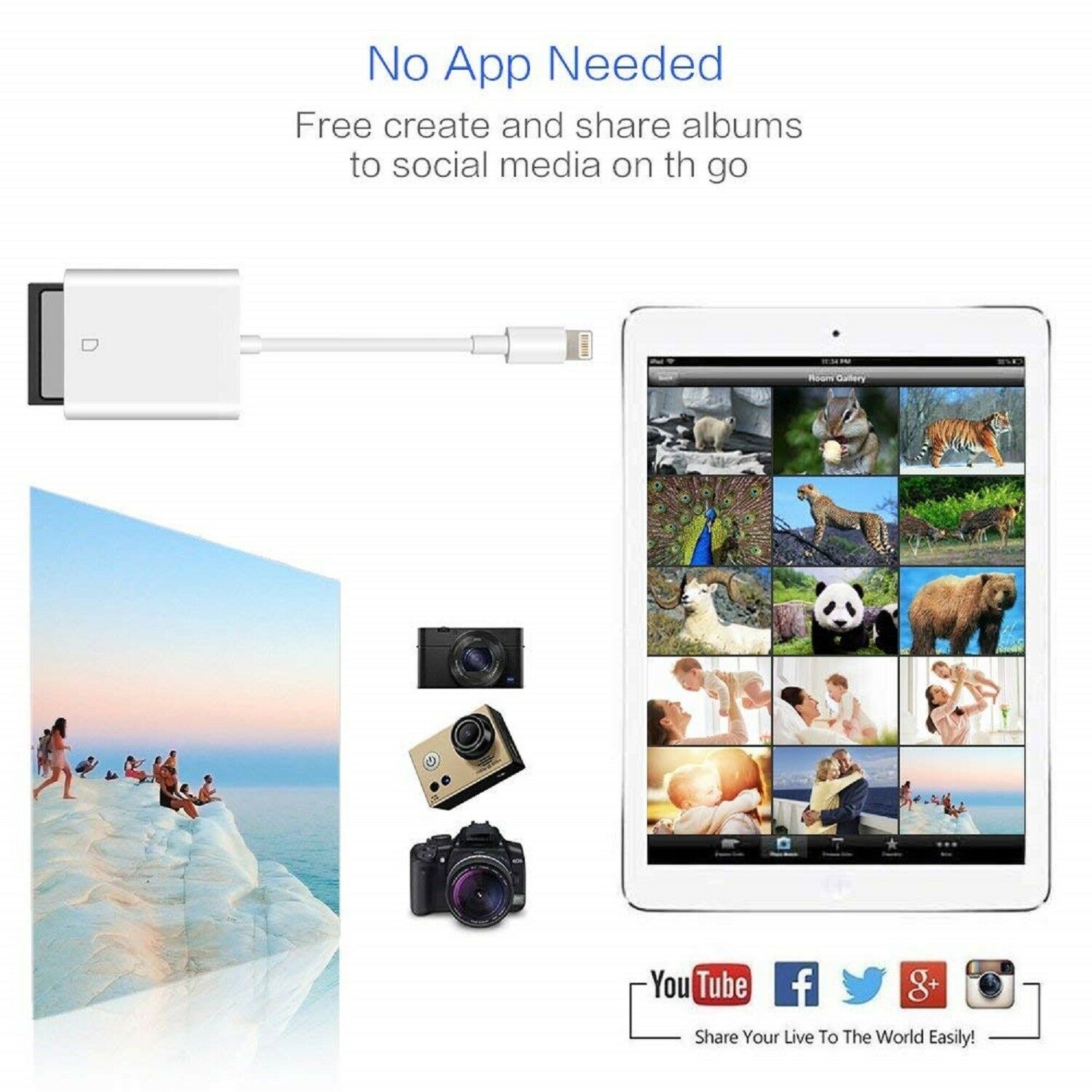 For Apple Lightning To Sd Card Camera Reader Tail Adapter Iphone Ipad - Fresh Stock Dated October 2025