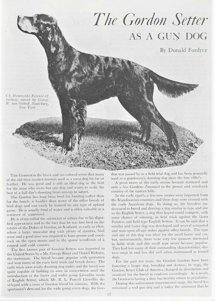 1947 Bob Becker's DOG DIGEST - Fresh Stock Dated October 2025